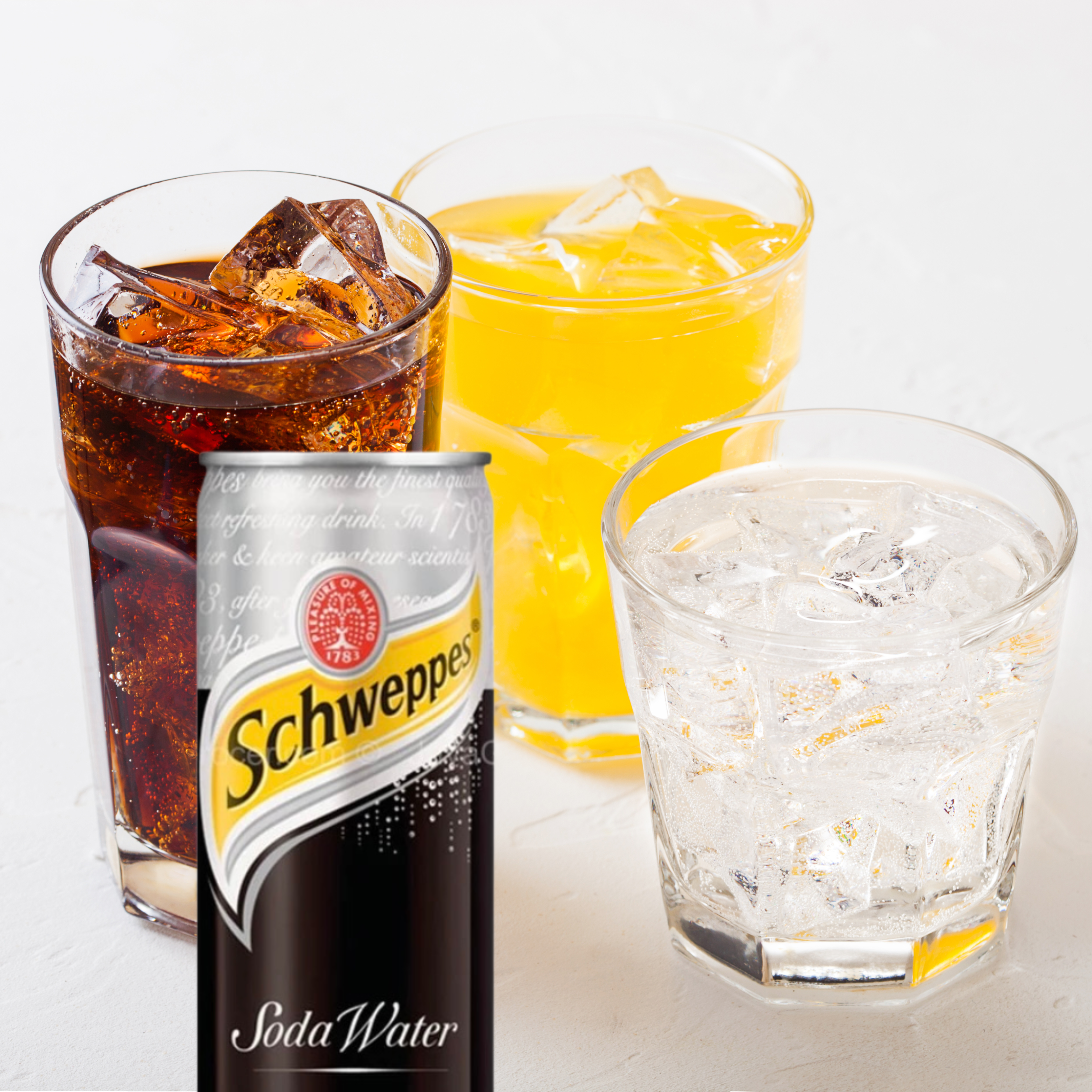 Schweppes Sparkling Soda Water 320mL X 6 Cans