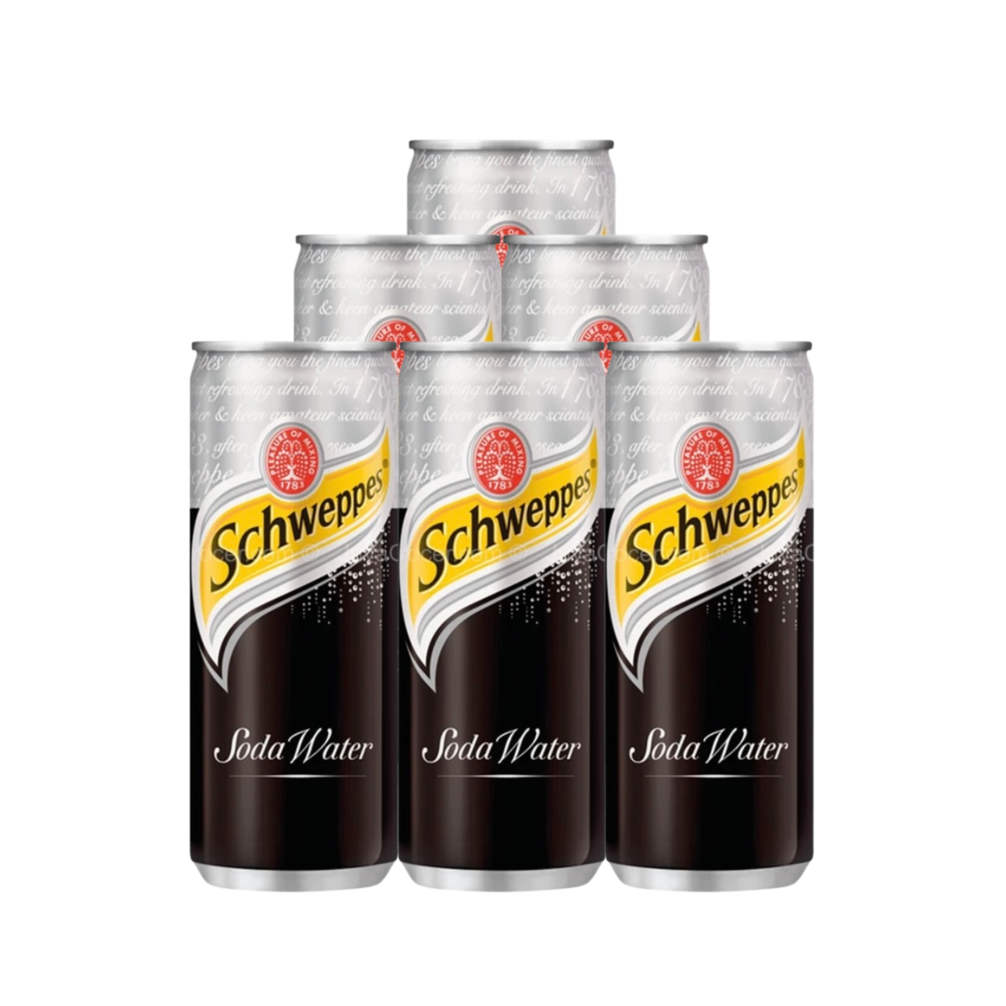 Schweppes Sparkling Soda Water 320mL X 6 Cans