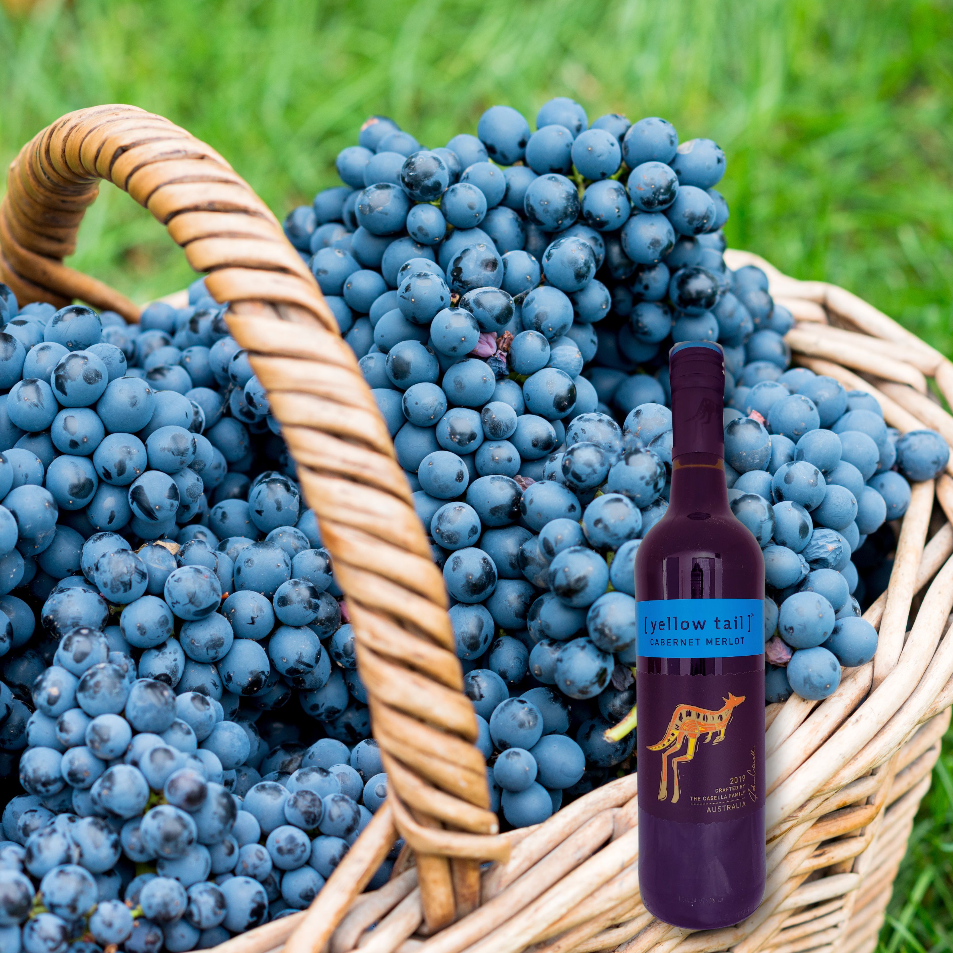 Yellow Tail Cabernet Merlot 2021