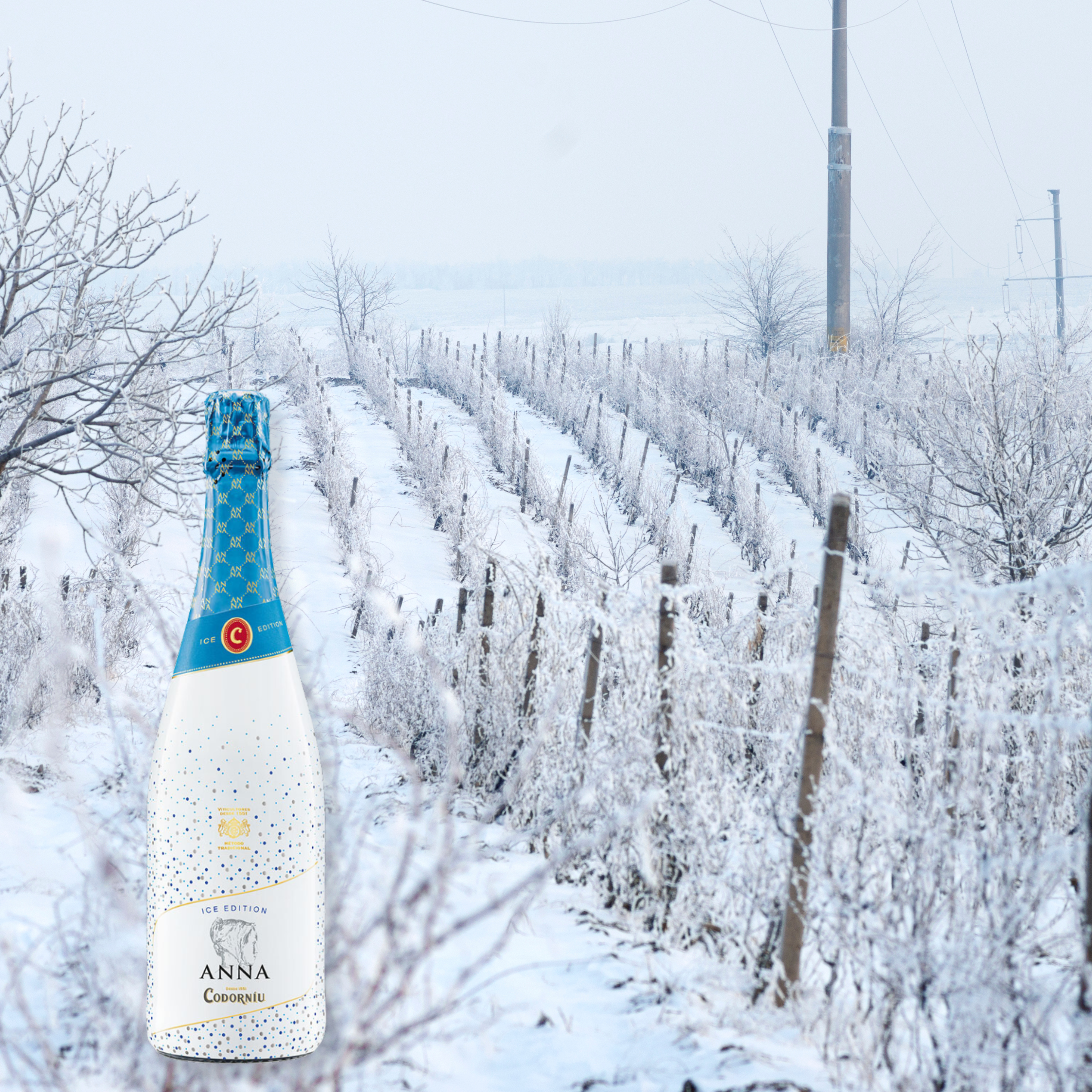 Anna de Codorniu Ice Edition, 750mL