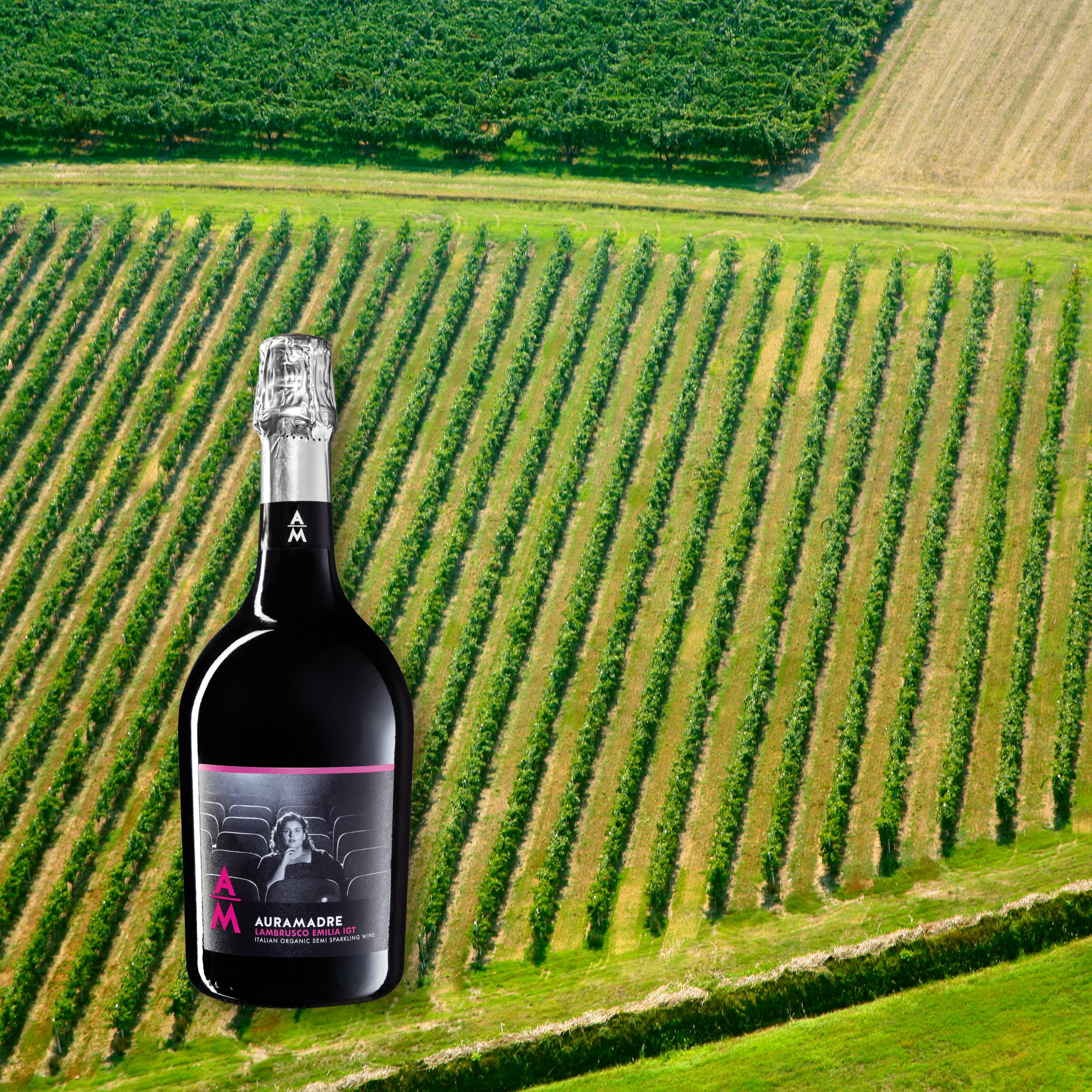 Auramadre Lambrusco Emilia Romagna IGT, 750mL