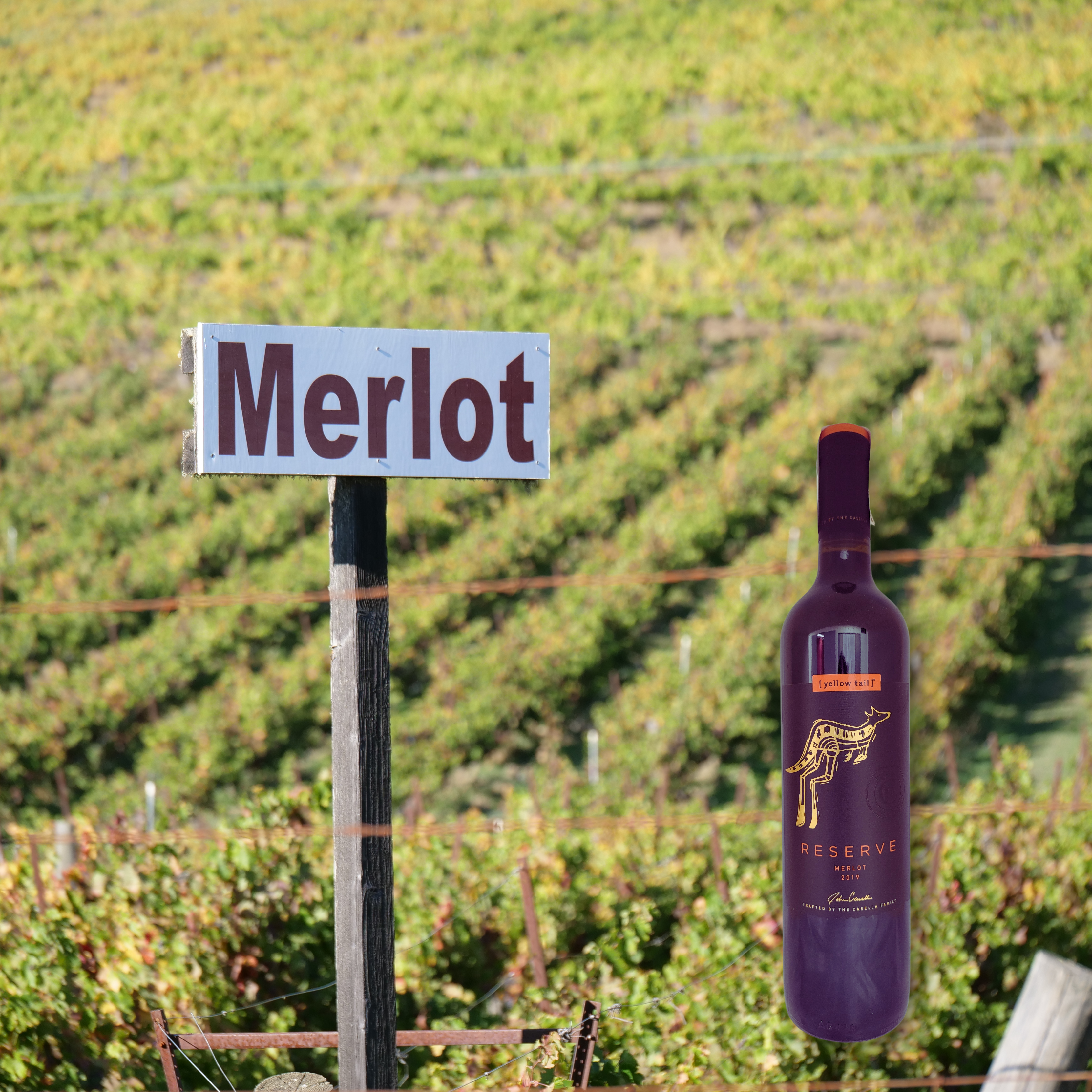 Yellow Tail Reserve Merlot 2019