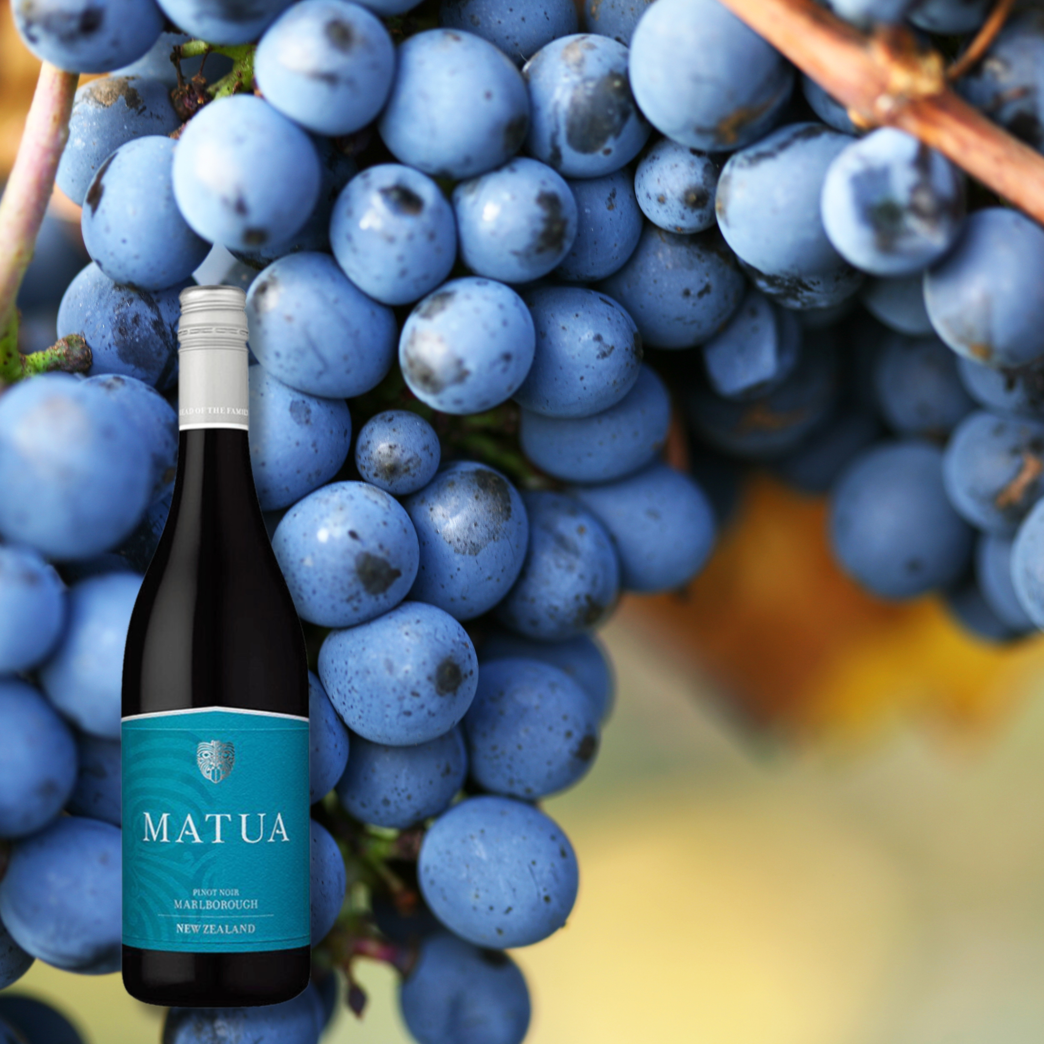 Matua Pinot Noir, 750mL