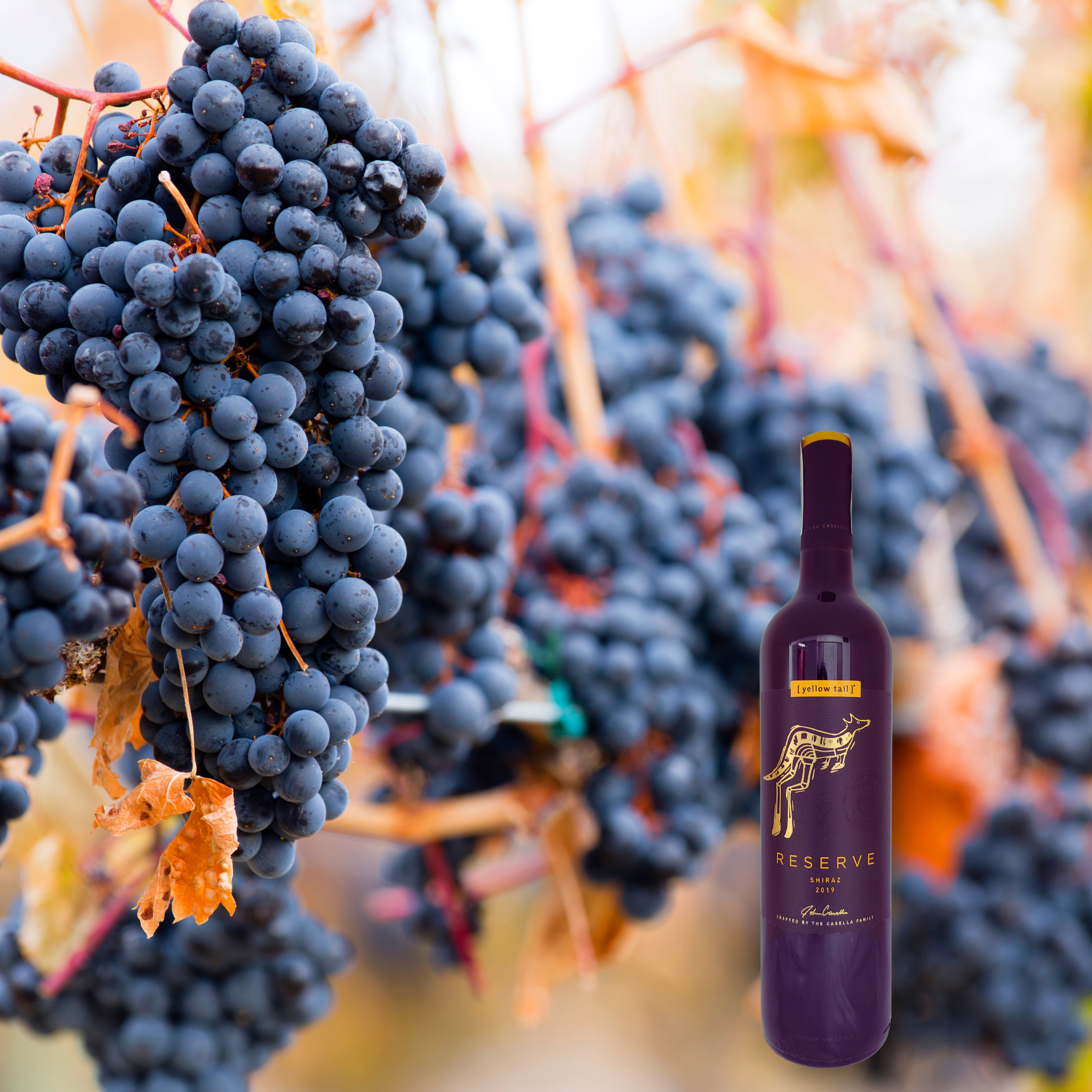 Yellow Tail Reserve Shiraz 2021