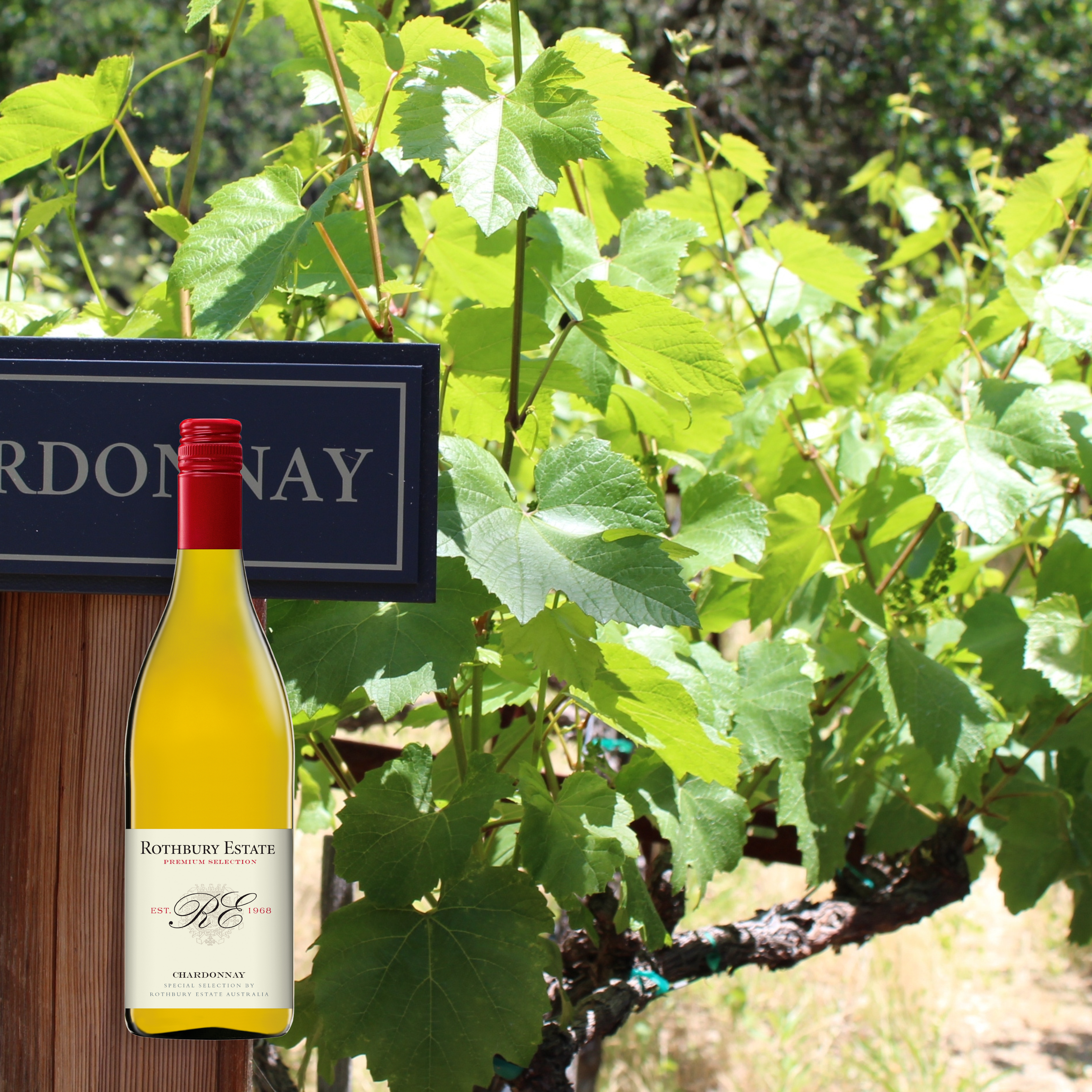 Rothbury Chardonnay, 750mL