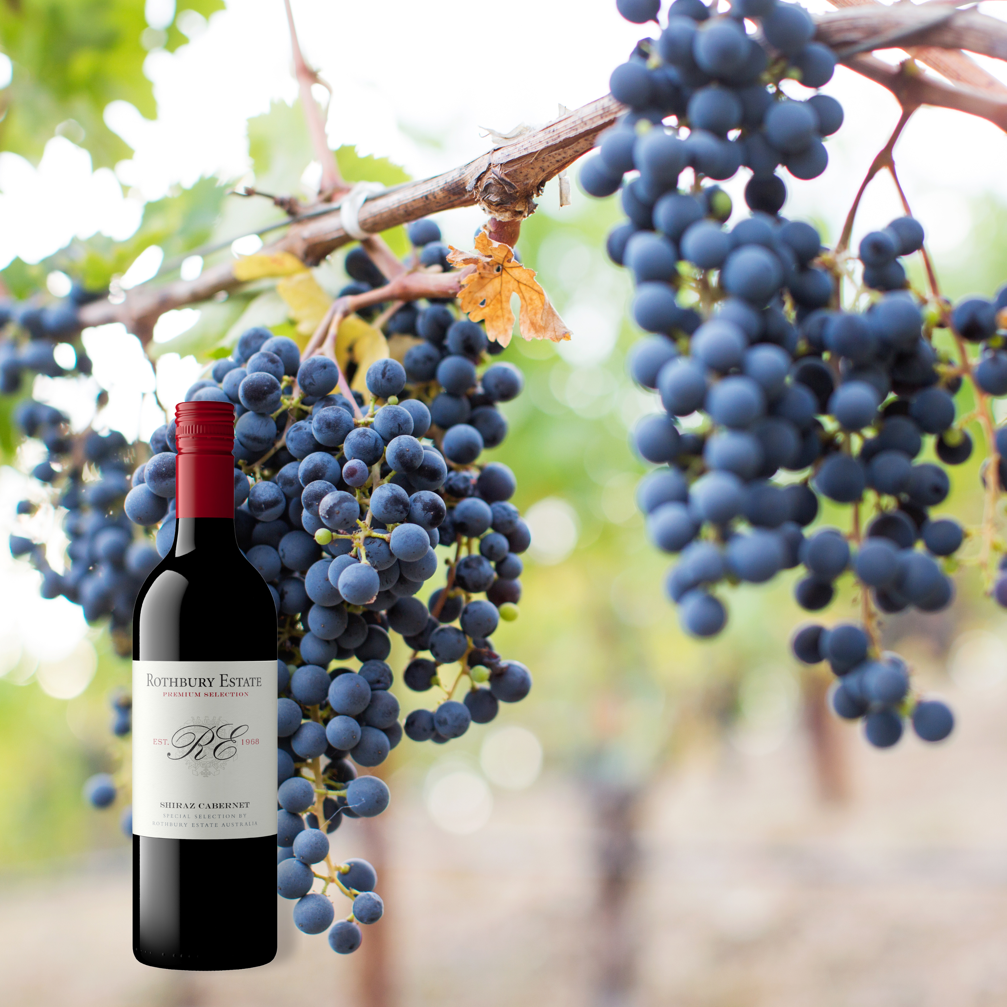 Rothbury Shiraz Cabernet, 750mL