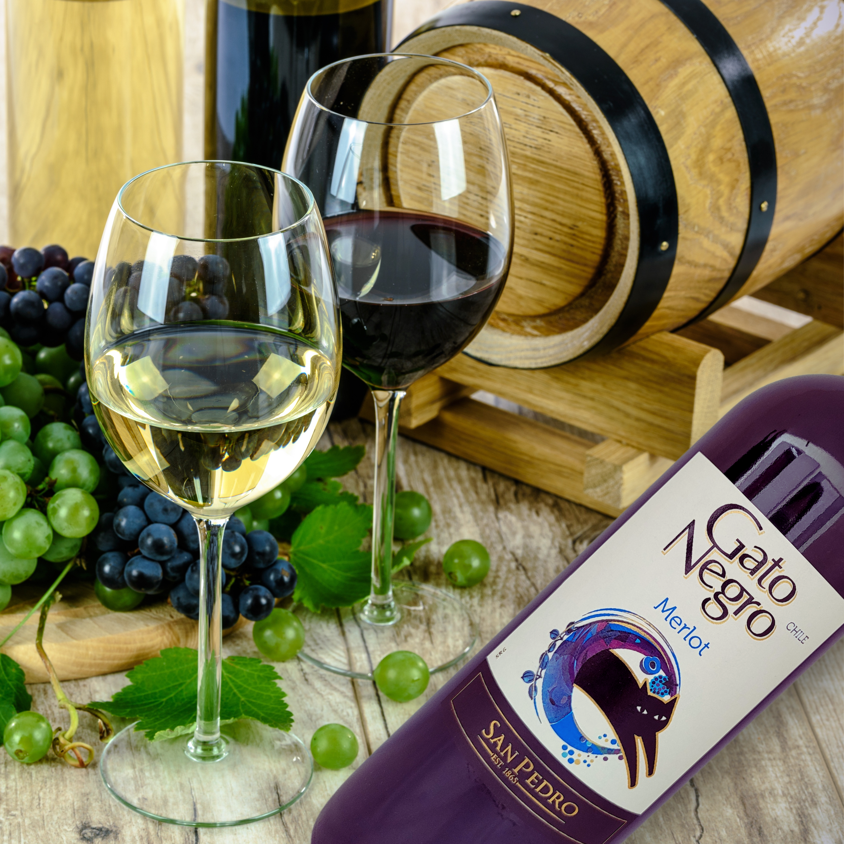 Gato Negro Merlot 2022, 750mL