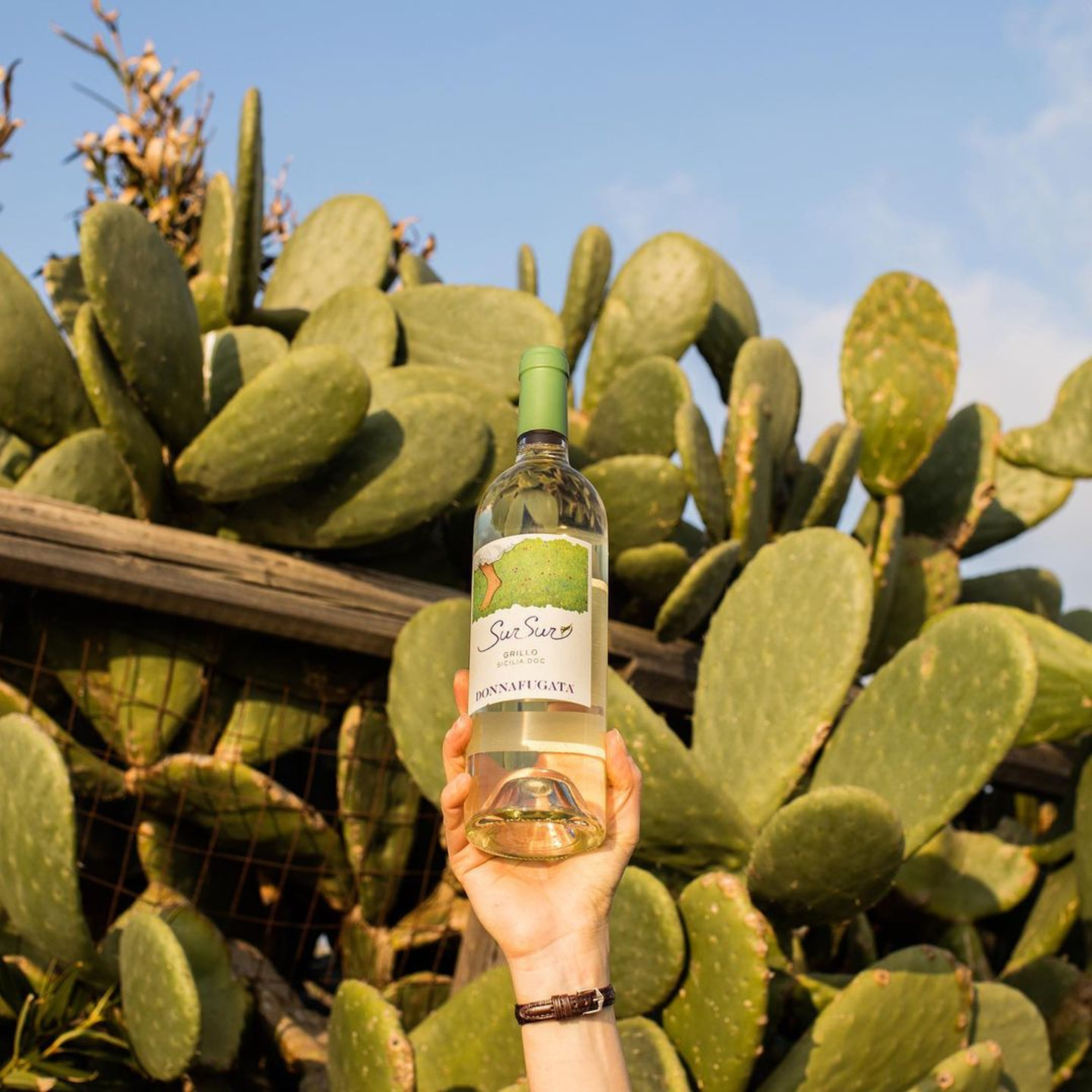 SurSur Grillo Sicilia DOC, 750mL