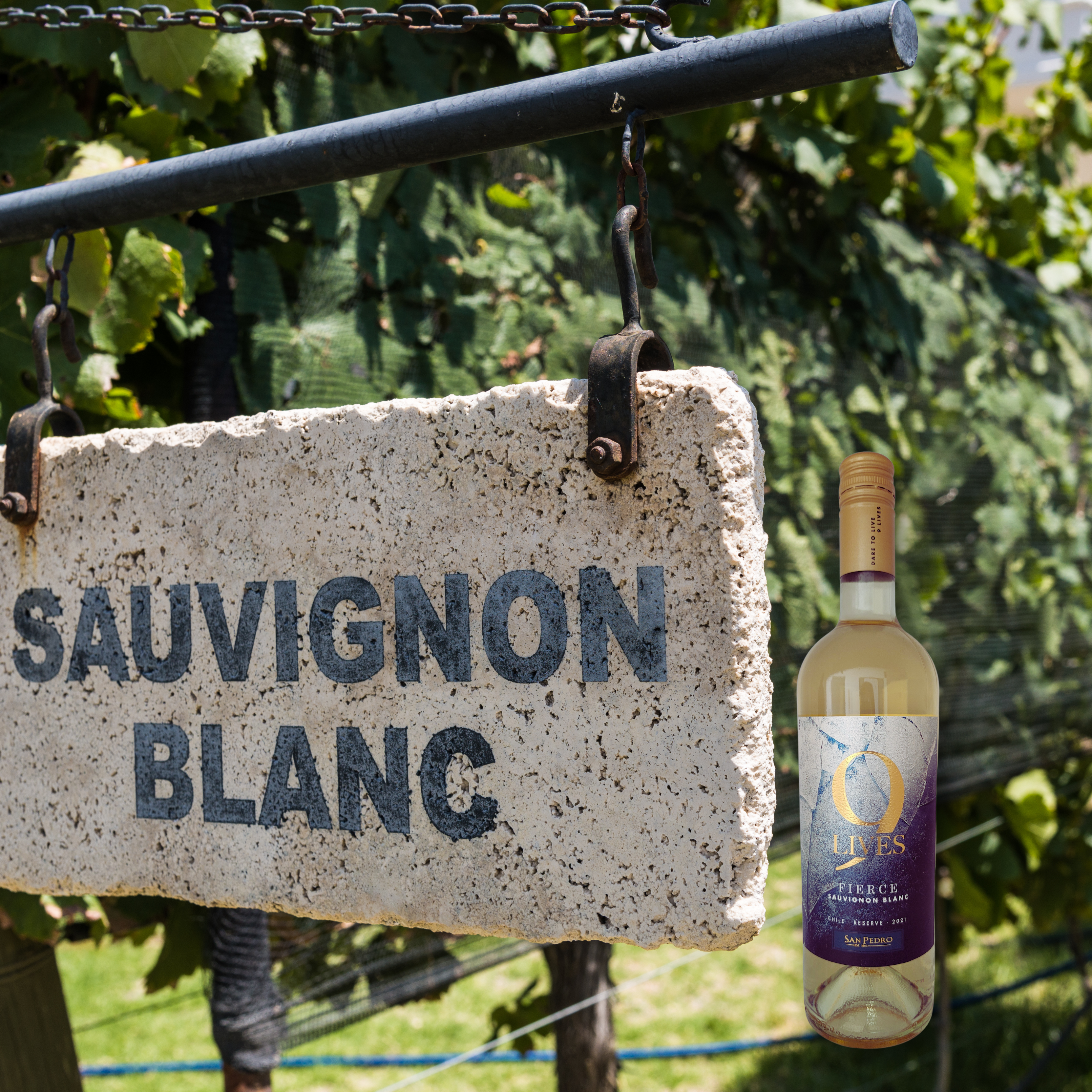 9 Lives Sauvignon Blanc 2021