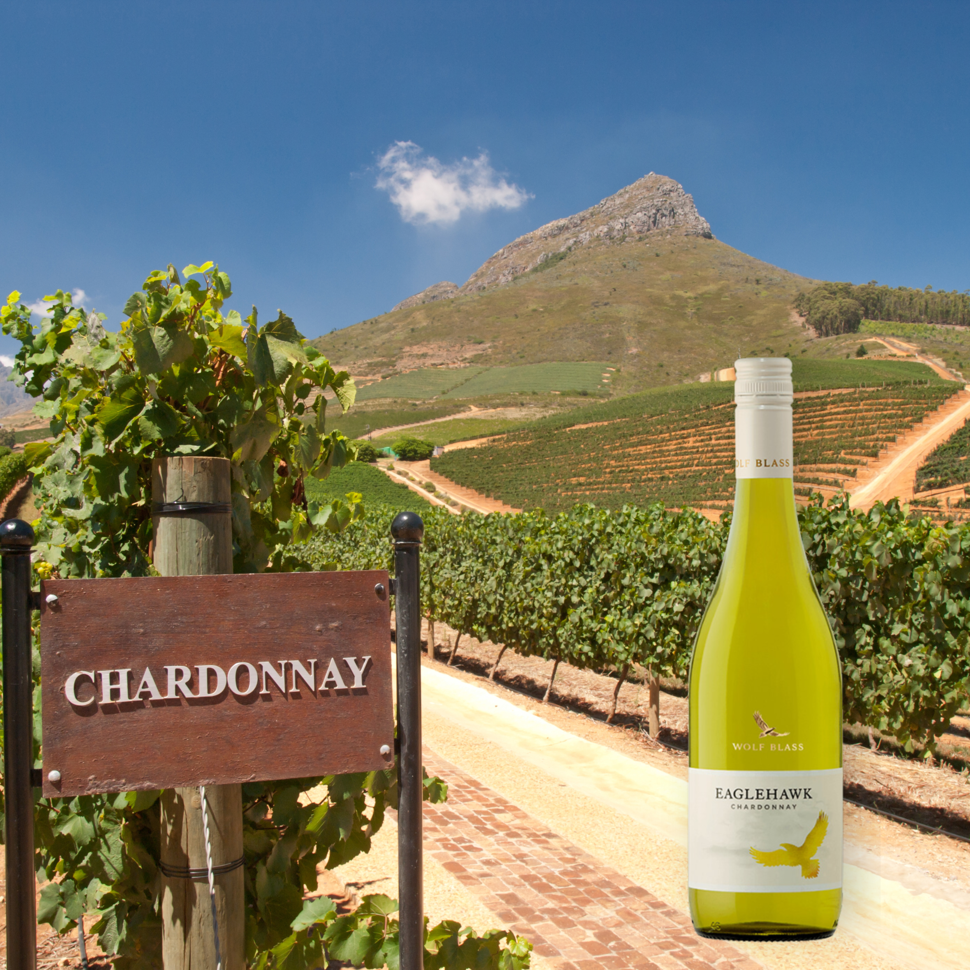 Wolf Blass Eagle Hawk Chardonnay, 750mL