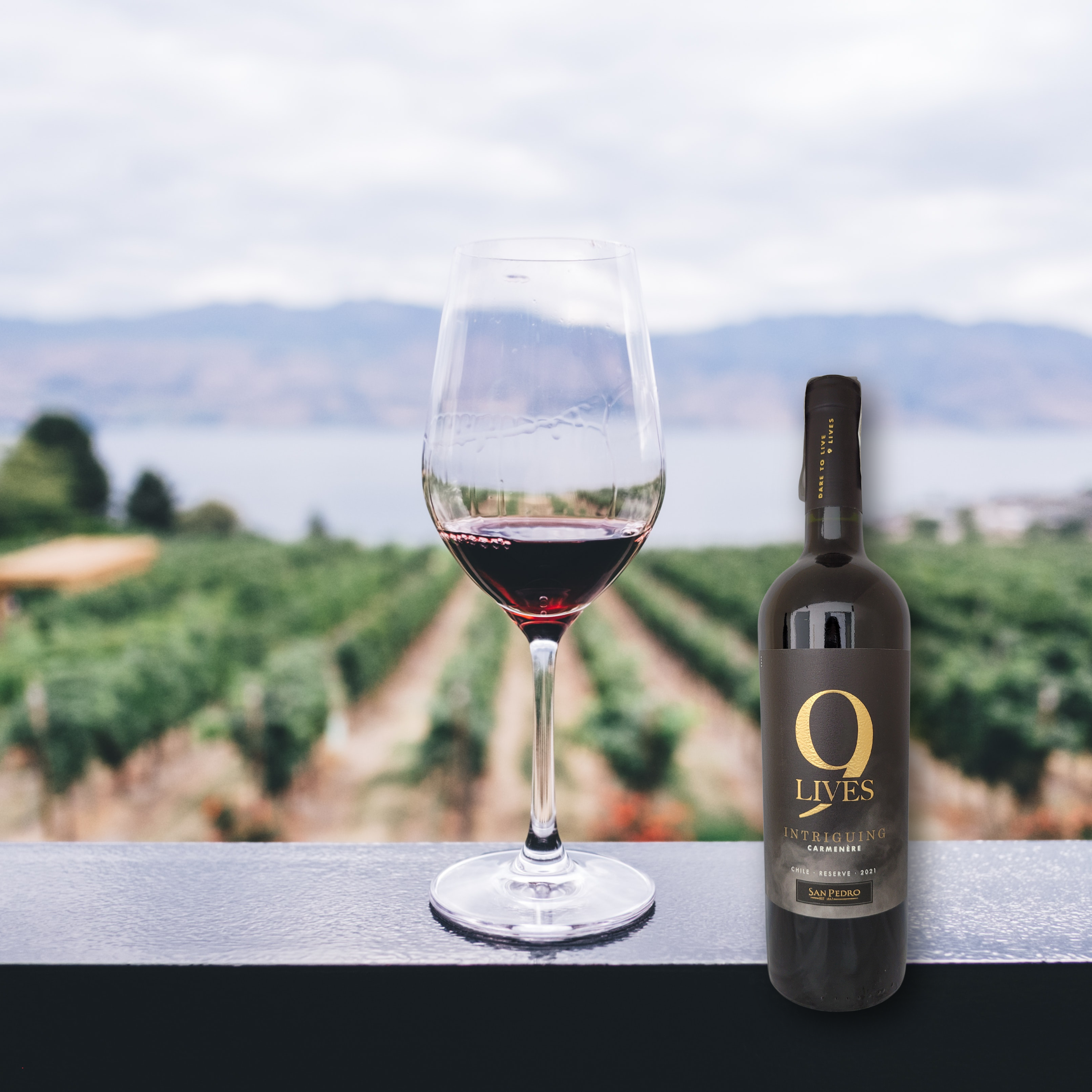 9 Lives Carmenere 2021