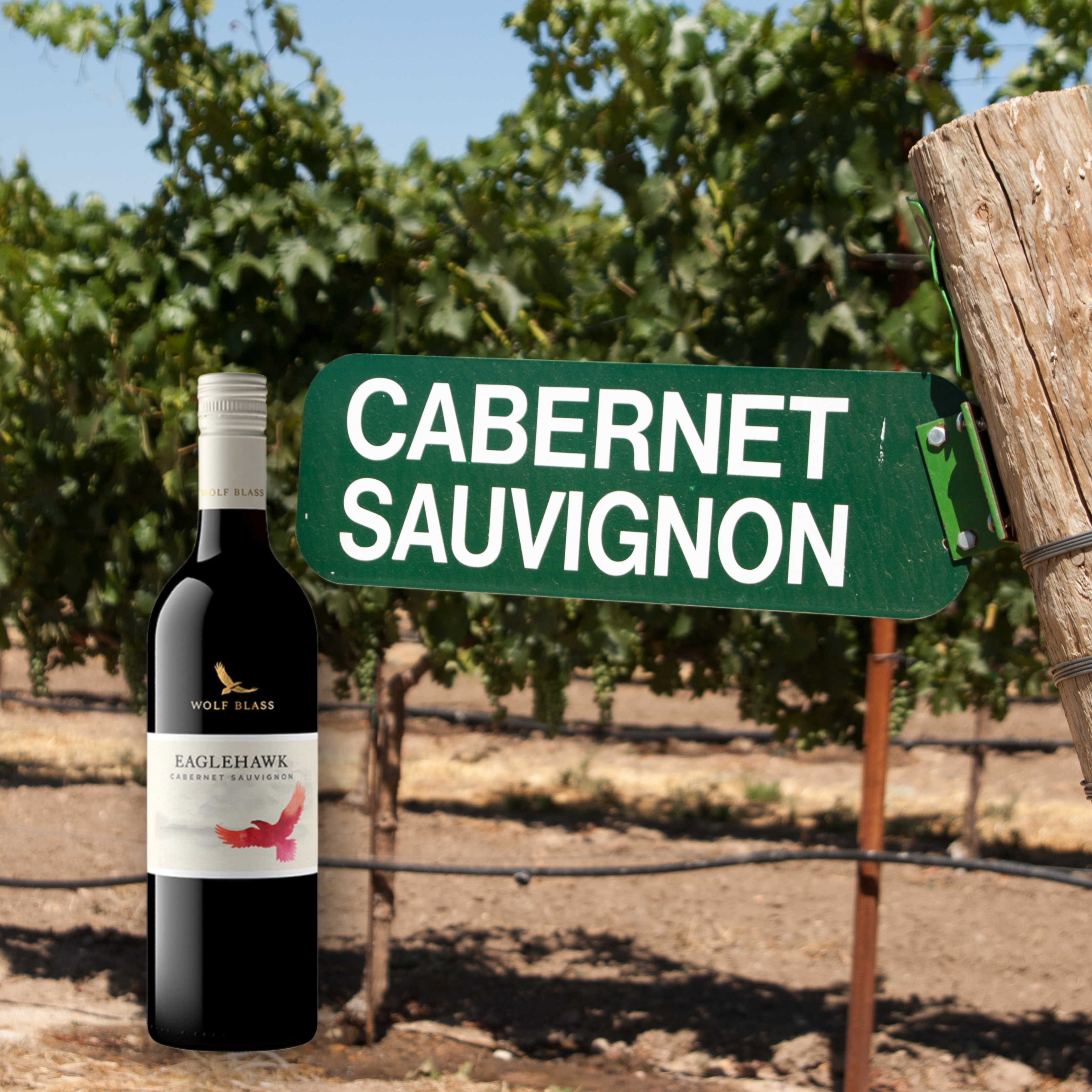 Wolf Blass Eagle Hawk Cabernet Sauvignon, 750mL