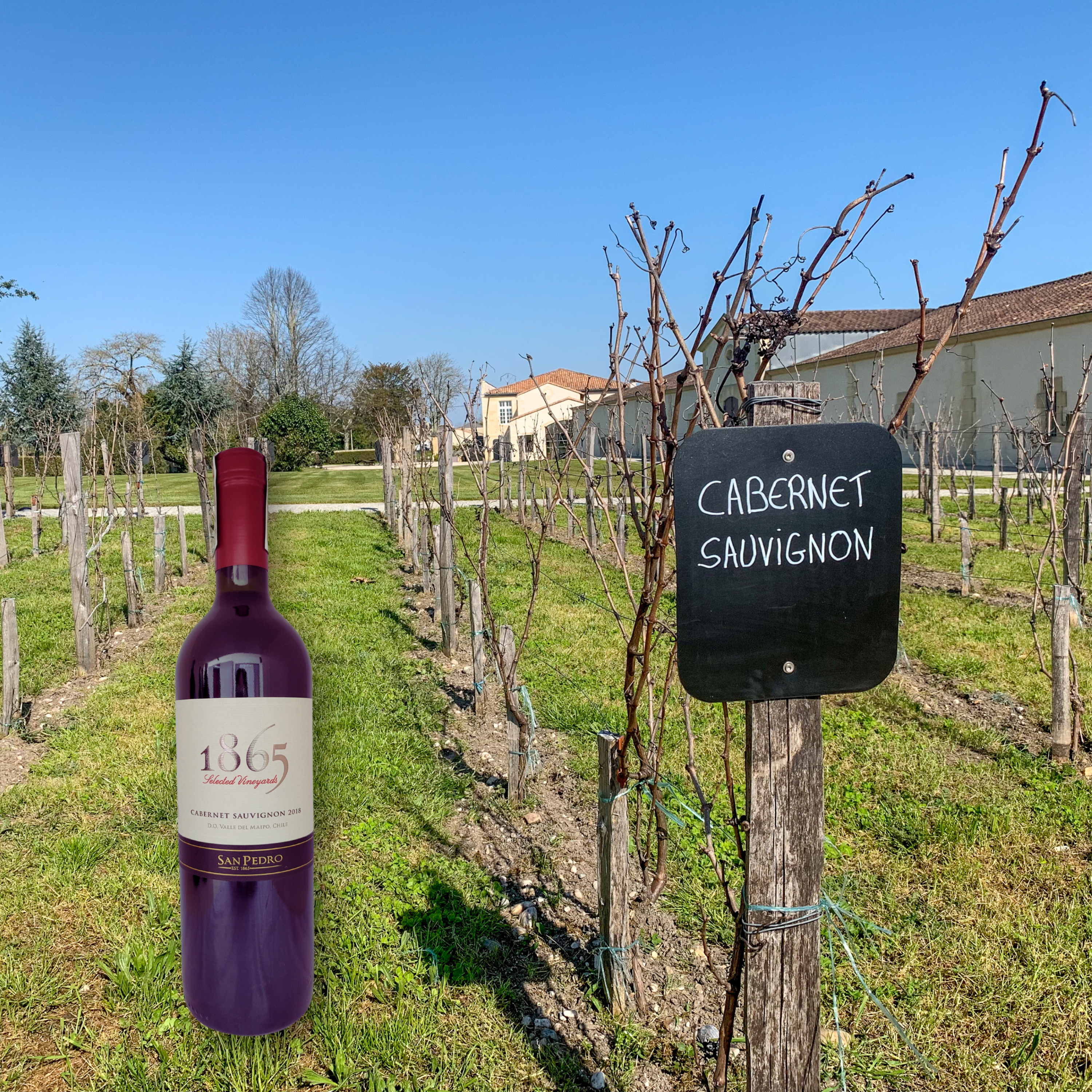 1865 Cabernet Sauvignon 2021, 750mL