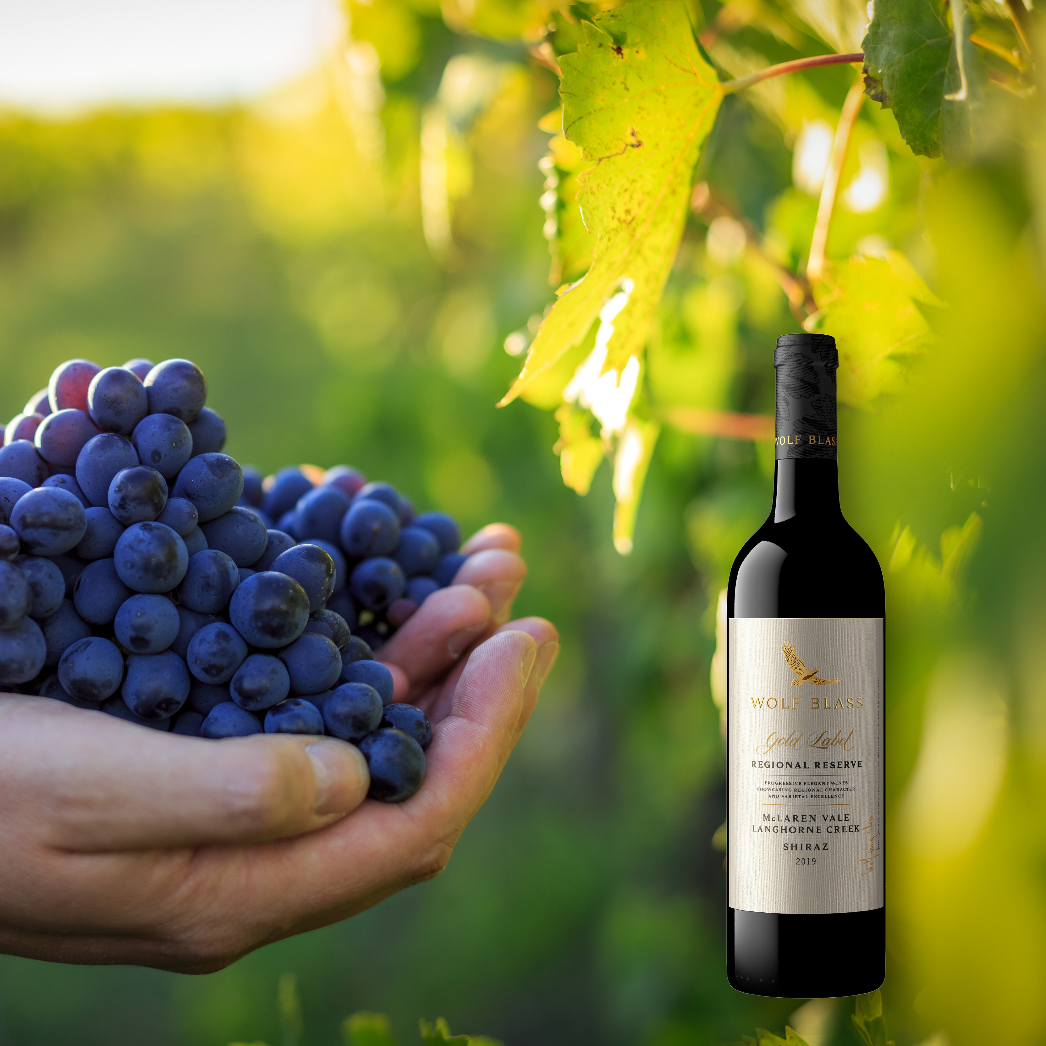 Wolf Blass Gold Label Reserve Langhorne, McLaren Vale Shiraz, 750ml