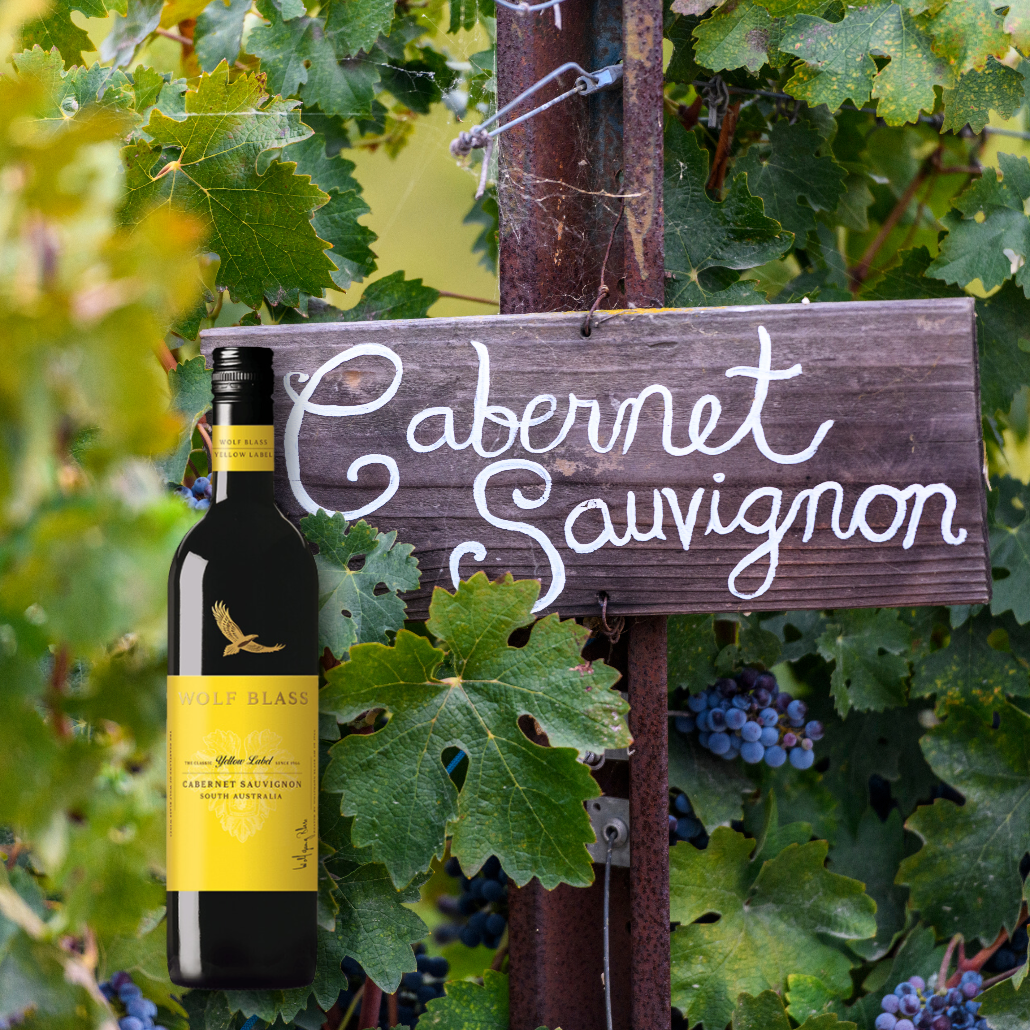 Wolf Blass Yellow Label Cabernet Sauvignon, 750mL