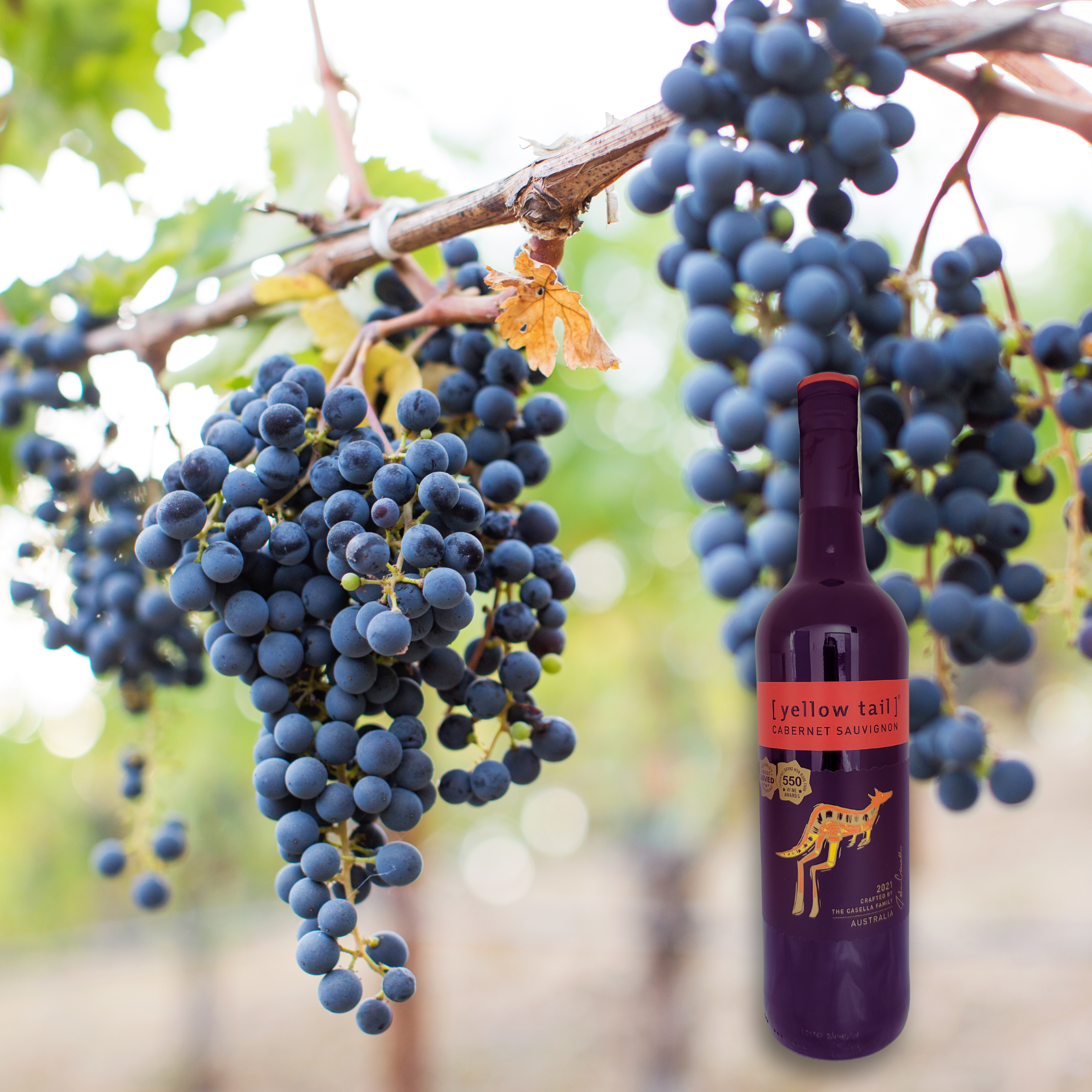 Yellow Tail Cabernet Sauvignon 2021