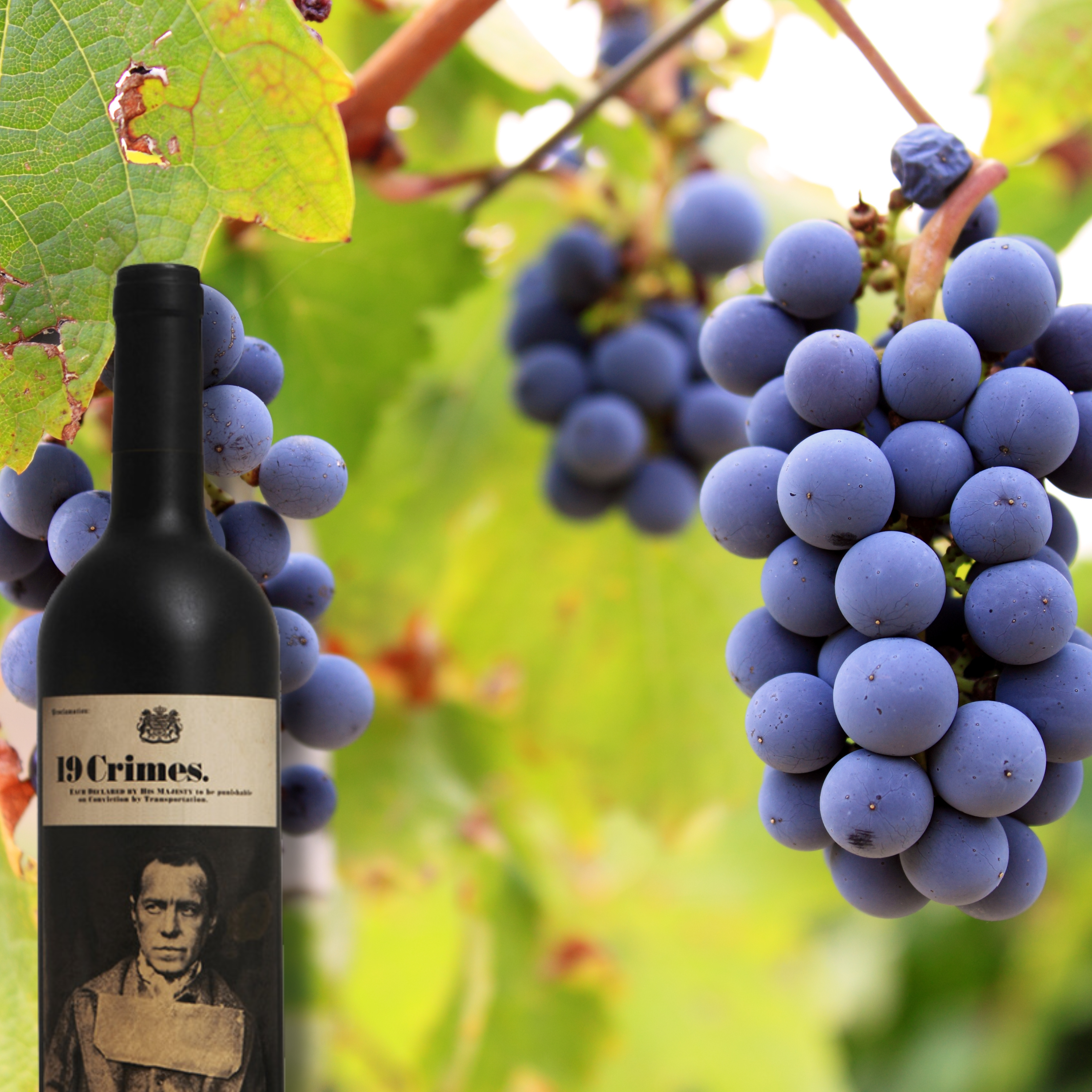 19 Crimes Cabernet Sauvignon, 750mL